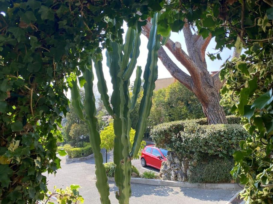 The Sun Paradise Dream Cannes Bagian luar foto